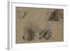 Quatre études de porc-épic-Pieter Boel-Framed Giclee Print