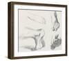 Quatre Pieds Gauches-Stefano della Bella-Framed Art Print