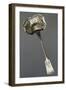 Quatrefoil-Shaped Silver Sugar Dusting Spoon, Minerva Hallmark, France, Late 19th Century-null-Framed Giclee Print