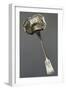 Quatrefoil-Shaped Silver Sugar Dusting Spoon, Minerva Hallmark, France, Late 19th Century-null-Framed Giclee Print