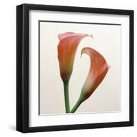 Quattro Gigli I-Bill Philip-Framed Giclee Print