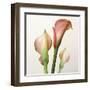 Quattro Gigli II-Bill Philip-Framed Giclee Print