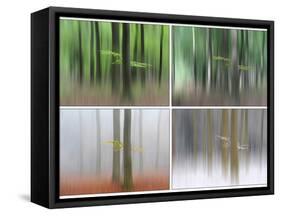 Quattro Stagioni-Huib Limberg-Framed Stretched Canvas