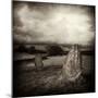 Quavee-David Baker-Mounted Premium Photographic Print