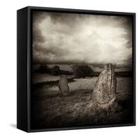 Quavee-David Baker-Framed Stretched Canvas