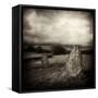 Quavee-David Baker-Framed Stretched Canvas