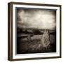 Quavee-David Baker-Framed Photographic Print