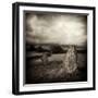 Quavee-David Baker-Framed Photographic Print