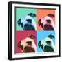 Que Pasa Pop-Jon Bertelli-Framed Premium Photographic Print