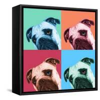 Que Pasa Pop-Jon Bertelli-Framed Stretched Canvas