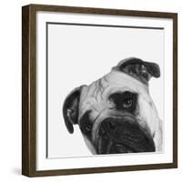 Que Pasa?-Jon Bertelli-Framed Photographic Print