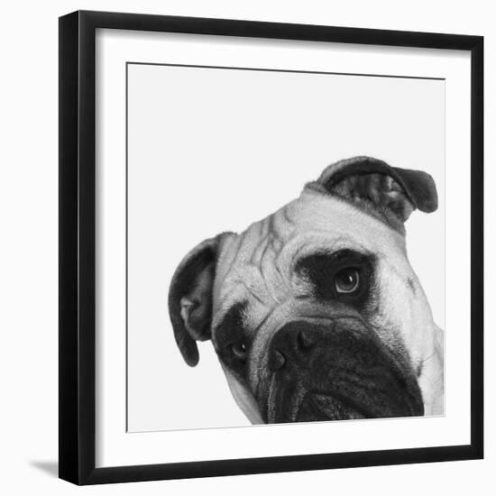 Que Pasa?-Jon Bertelli-Framed Photographic Print