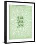 Que Sera Sera Mint-Cat Coquillette-Framed Giclee Print