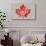 Quebec, Canada Pride - Red Maple Leaf Typography-Lantern Press-Art Print displayed on a wall