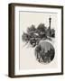 Quebec, Wayside Cross and Beauport Church, Canada, Nineteenth Century-null-Framed Giclee Print