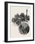 Quebec, Wayside Cross and Beauport Church, Canada, Nineteenth Century-null-Framed Giclee Print