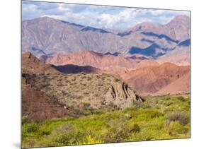 Quebrada de las Conchas. A canyon with rock formations created by Rio de las Conchas, Argentina-Martin Zwick-Mounted Photographic Print