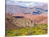 Quebrada de las Conchas. A canyon with rock formations created by Rio de las Conchas, Argentina-Martin Zwick-Stretched Canvas