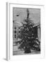 Queen Alexandra's Christmas Tree at Sandringham-null-Framed Photographic Print