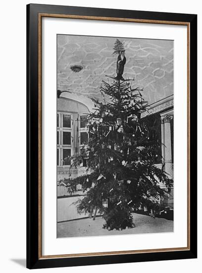 Queen Alexandra's Christmas Tree at Sandringham-null-Framed Photographic Print