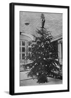 Queen Alexandra's Christmas Tree at Sandringham-null-Framed Photographic Print