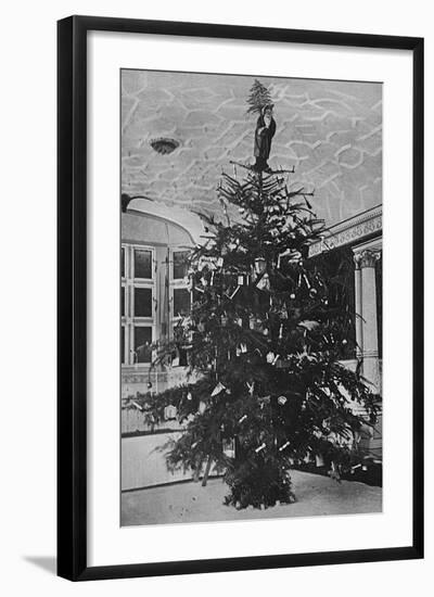 Queen Alexandra's Christmas Tree at Sandringham-null-Framed Photographic Print