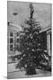 Queen Alexandra's Christmas Tree at Sandringham-null-Mounted Photographic Print