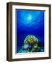 Queen Angelfish and Blue Chromis with Black Durgon in the Sea-null-Framed Photographic Print