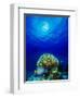 Queen Angelfish and Blue Chromis with Black Durgon in the Sea-null-Framed Photographic Print