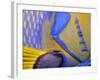 Queen Angelfish Close-Up of Gills and Pectoral Fin, Bahamas, Caribbean-Jeff Rotman-Framed Photographic Print