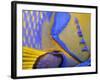 Queen Angelfish Close-Up of Gills and Pectoral Fin, Bahamas, Caribbean-Jeff Rotman-Framed Photographic Print