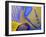 Queen Angelfish Close-Up of Gills and Pectoral Fin, Bahamas, Caribbean-Jeff Rotman-Framed Photographic Print