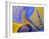 Queen Angelfish Close-Up of Gills and Pectoral Fin, Bahamas, Caribbean-Jeff Rotman-Framed Photographic Print