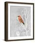 Queen Ann Morning-Tina Lavoie-Framed Giclee Print