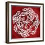 Queen Ann Pattern-Tina Lavoie-Framed Giclee Print