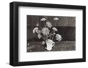 Queen Anne's Lace-Lilo Raymond-Framed Art Print