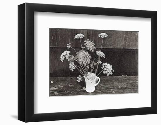 Queen Anne's Lace-Lilo Raymond-Framed Art Print