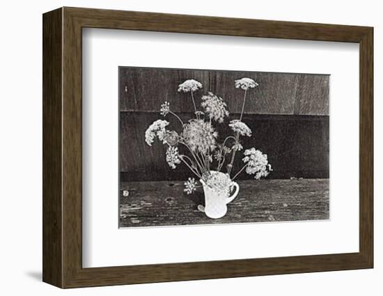 Queen Anne's Lace-Lilo Raymond-Framed Art Print