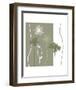 Queen Anne's Lace-Erin Clark-Framed Art Print