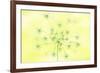 Queen Anne's Lace-Jacky Parker-Framed Giclee Print