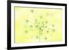 Queen Anne's Lace-Jacky Parker-Framed Giclee Print