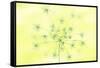 Queen Anne's Lace-Jacky Parker-Framed Stretched Canvas