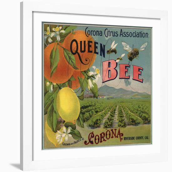 Queen Bee Brand - Corona, California - Citrus Crate Label-Lantern Press-Framed Art Print