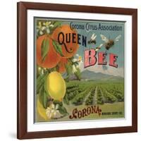 Queen Bee Brand - Corona, California - Citrus Crate Label-Lantern Press-Framed Art Print