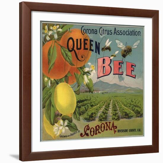 Queen Bee Brand - Corona, California - Citrus Crate Label-Lantern Press-Framed Art Print