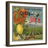 Queen Bee Brand - Corona, California - Citrus Crate Label-Lantern Press-Framed Art Print