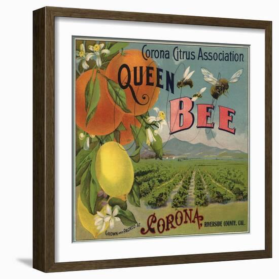 Queen Bee Brand - Corona, California - Citrus Crate Label-Lantern Press-Framed Art Print