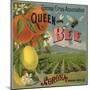 Queen Bee Brand - Corona, California - Citrus Crate Label-Lantern Press-Mounted Art Print