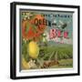 Queen Bee Brand - Corona, California - Citrus Crate Label-Lantern Press-Framed Premium Giclee Print