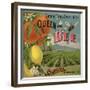 Queen Bee Brand - Corona, California - Citrus Crate Label-Lantern Press-Framed Premium Giclee Print